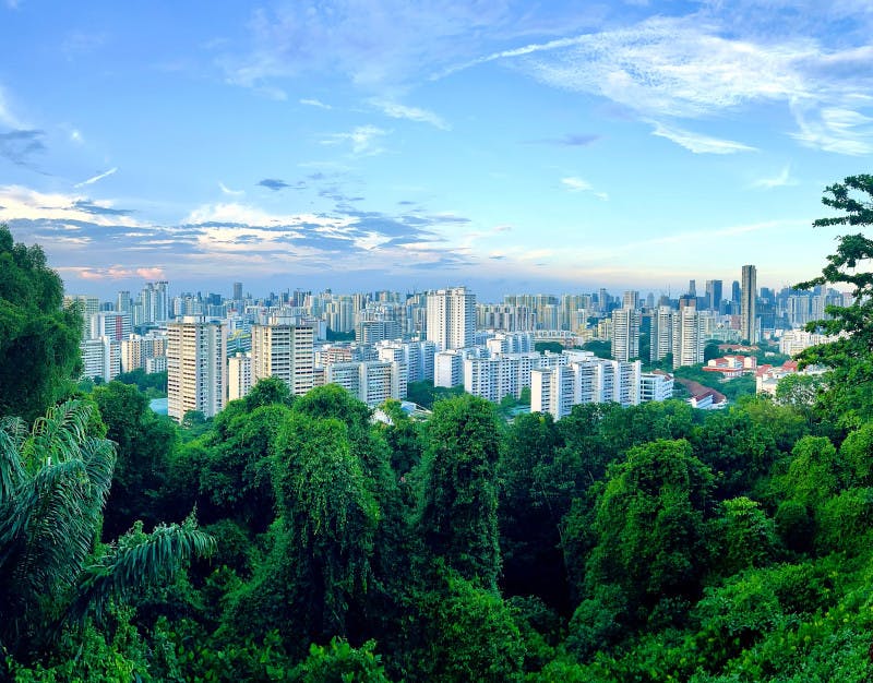 Singapore City View 1